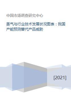 蒸气技术发展 行业现状、产能预测与未来挑战